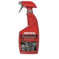 Interior Car Care